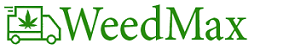 logo img